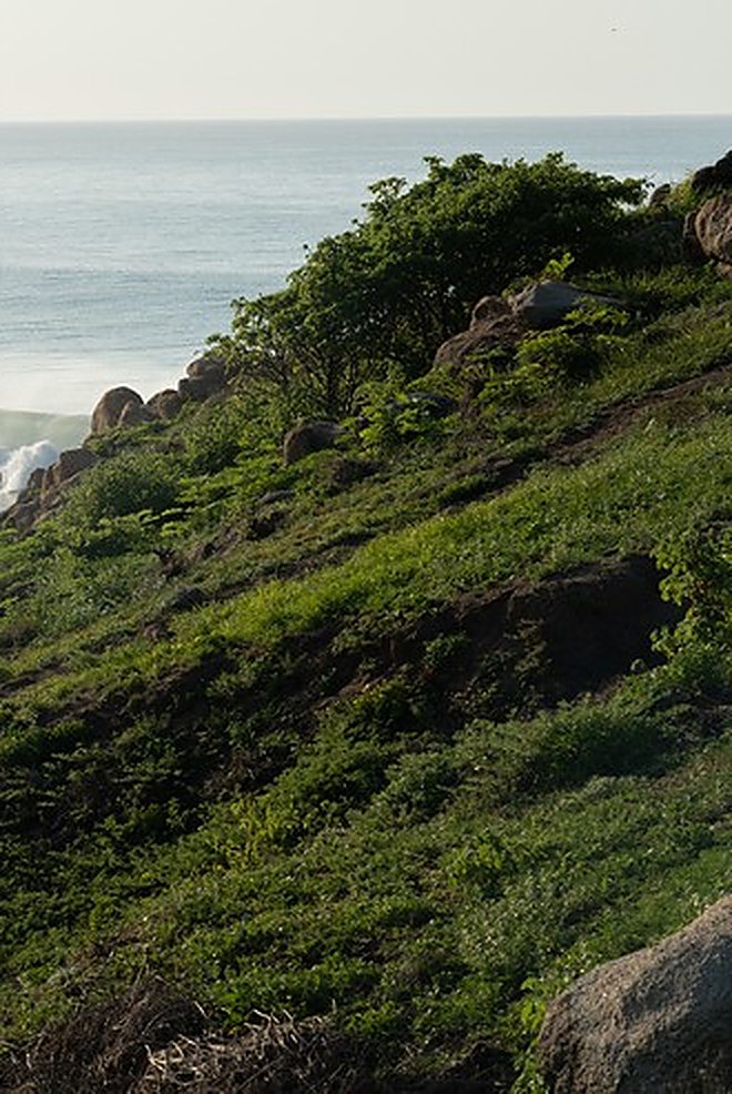 Ladera verde sobre el mar en la costa de Oaxaca